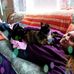 Laurie McDowell - Facebook