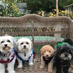 Laurie Morrow - @kaleighandhersisters - Instagram
