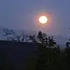 Laurie Mounteer - @laurie.mounteer7 - TikTok