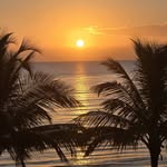 Laurie Niles - @laurie.niles.9028 - Instagram
