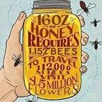 Laurie Niles - @chicolaurie - Instagram