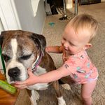 Laurie Anne Nolan - @laurieannenolan - Instagram