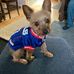 Laurie Nolan - Facebook