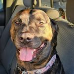 Laurie Patrick - @phantomg20 - Instagram