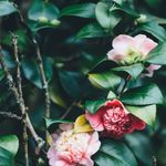 Laurie St. Patrick - @west_o_counseling - Instagram