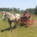 Laurie Patton - Facebook