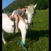 laurie perrin - @laurie.prn.73 - TikTok