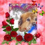 Laurie Pieper - @laurie.pieper.182 - Instagram