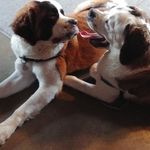 Laurie Pieper - @pieper.laurie - Instagram