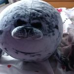 Laurie Preece - @laurie.preece71 - Instagram
