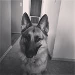Laurie Race - @colt_and_kimbers_mom - Instagram