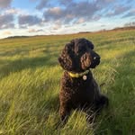 Laurie Rex Markham - @laurie_markham29 - Instagram