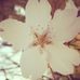 Laura Ring - Facebook