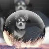 laurieroach775 - @laurieroach775 - TikTok