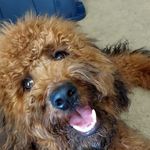 Laurie Ruble - @luv_my_dood - Instagram
