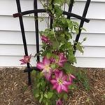 Laurie Ruble - @ruble.laurie - Instagram