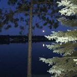 Laurie Rupp - @laurie.rupp.754 - Instagram