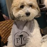 Laurie Rush - @lrkitchenfun - Instagram