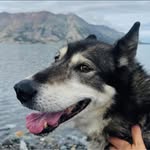 Laura Sample - @ldicesample - Instagram