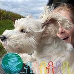 Laurie Hart-Sapp - @laurie268 - Instagram