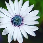 LaurieSappPhotography - @lauriesappphotography - Instagram