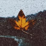 Laurie Schulz - @laurie_sch_ - Instagram