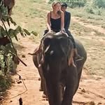 Laura Sexton - @laurasexton8575 - Instagram