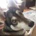 Laurie Snook - Facebook