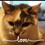Laurie Stack Braun - @laurie.braun.75 - Instagram