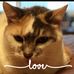 Laurie Stack Braun - Facebook