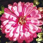 laurie_steenson - @laurie_steenson - Instagram