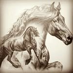 Laura Strauch - @strauch_sofal - Instagram