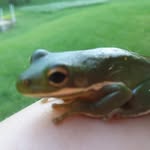 Laura Strauch - @laurelbushgirl - Instagram