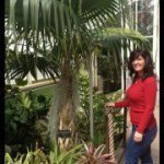 Laurie Hart Strauss - @fancygolfgirl - Instagram