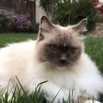 Laurie Tupper - @l.tupper - Instagram