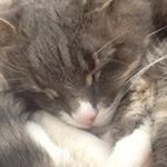 Annie Laurie Tuttle - @annielaurietuttle - Instagram