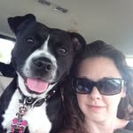 Laurie Ann Tuttle Cpdt-ka - @laurieanntuttle - Instagram