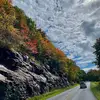 laurietuttle825 - @laurietuttle825 - TikTok