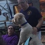 Laura Weimer - @ymerfamily - Instagram