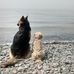 Laurie Wright - Facebook