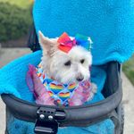Laurie Wright - @laurie_wright - Instagram