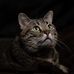 Laurie Wright - Facebook