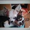 Larissa Dufour - @larissadufour - TikTok