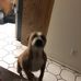 Lauryn Lopez - Facebook