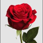 Lavada Jones - Facebook