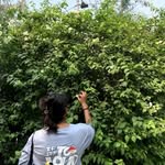 lavanya kumar - @la_van_ya_kumar - Instagram