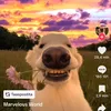 Cole Lavar - @cole.lavar - TikTok