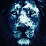 Lavar Hill - @lavar.hill - Instagram