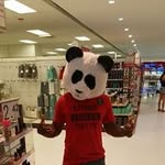 Anthony Ward - @anthonylavell95 - Instagram