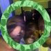Lavell Brown - Facebook